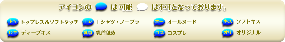 オプション説明